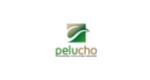 Pelucho