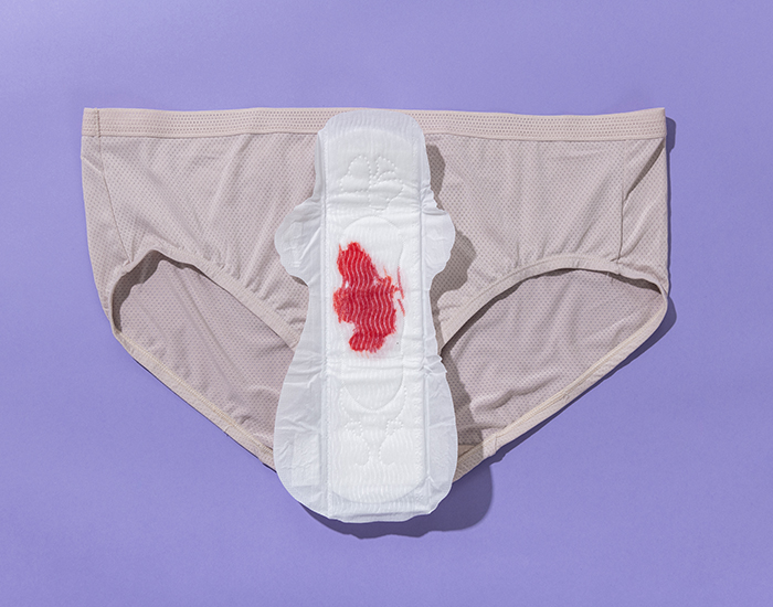 LANSINOH Serviette Maternit� Post-Partum 2 semaines et + - 12 pi�ces (8)