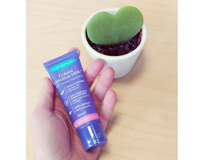 LANSINOH Crme pour l'Allaitement  la Lanoline 40 ml (3)