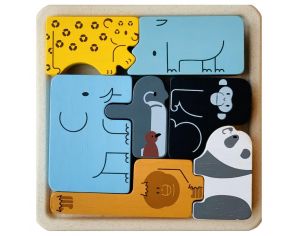 Puzzle, Encastrements