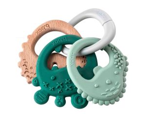 Anneaux de Dentition