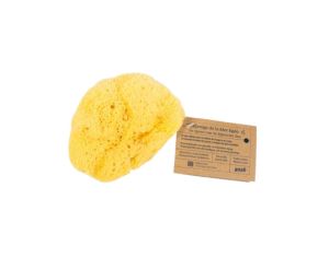ANAE Eponge Naturelle de Mer 10 - 12 cm